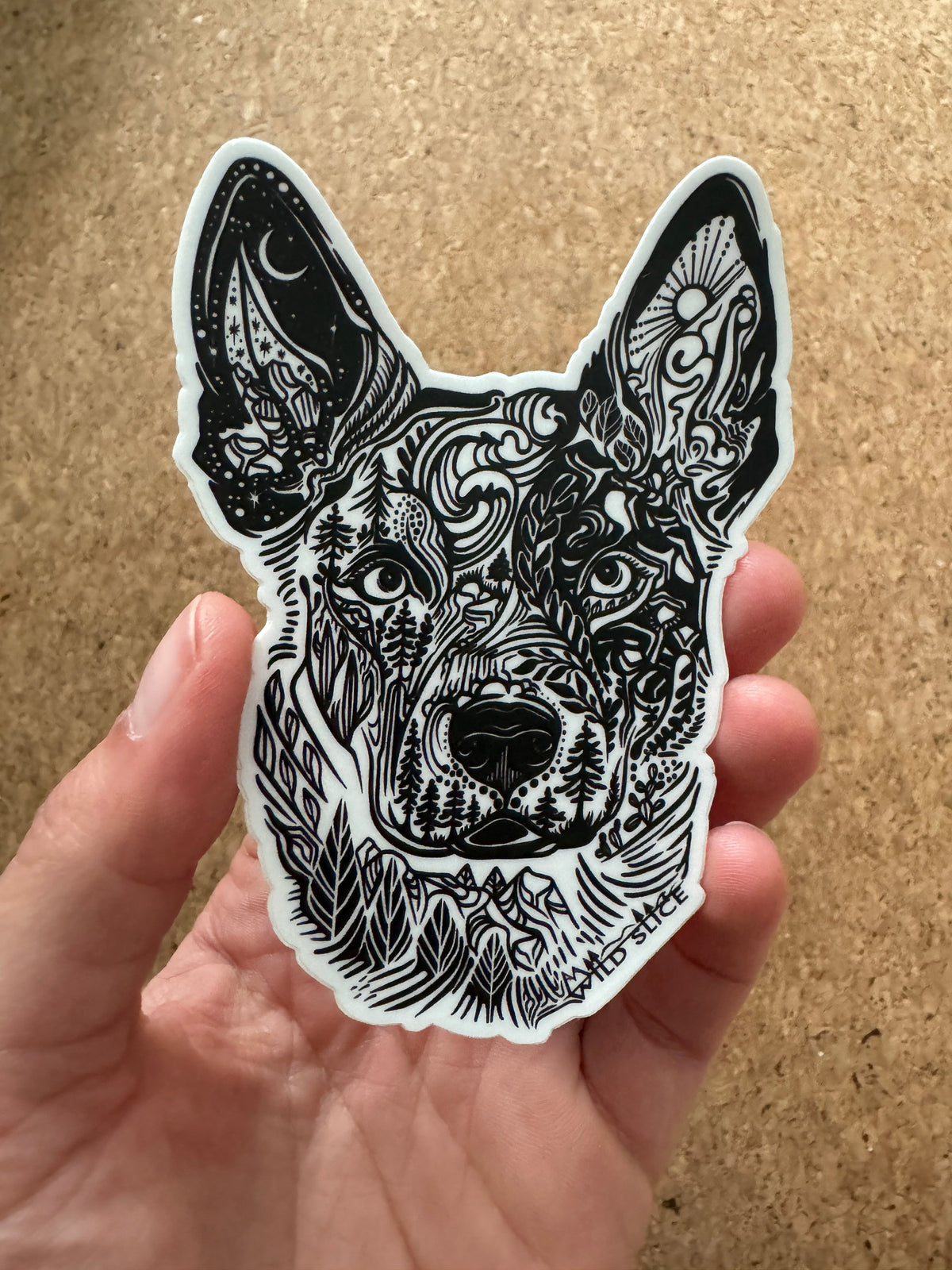 Australian Cattle Dog Sticker